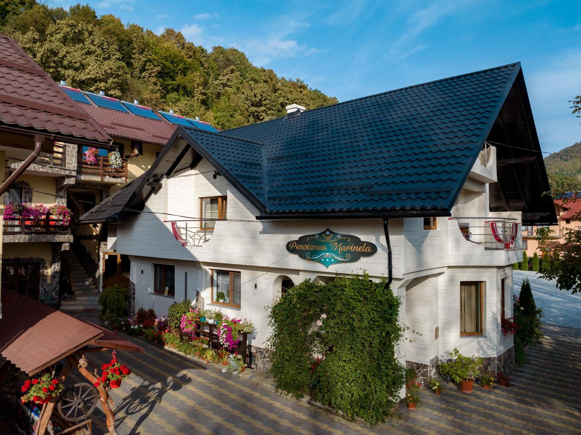 Pensiunea Marinela Sighetu Marmaţiei Exterior foto