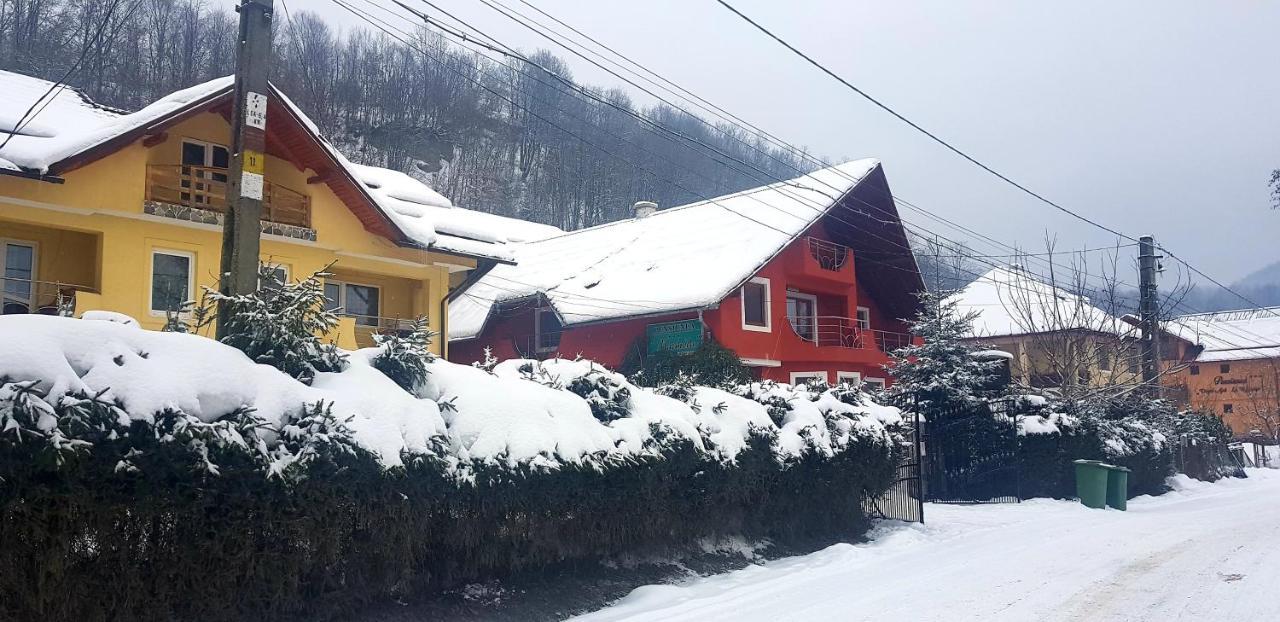 Pensiunea Marinela Sighetu Marmaţiei Exterior foto